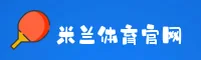 使用指南与常见问题